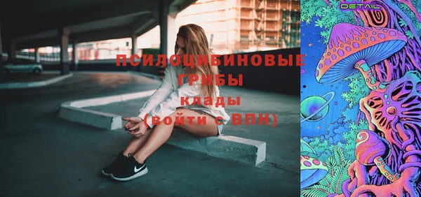 гидра Белоозёрский