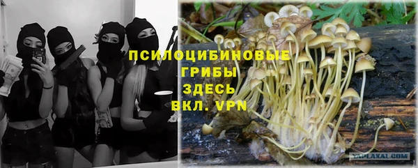 гидра Белоозёрский