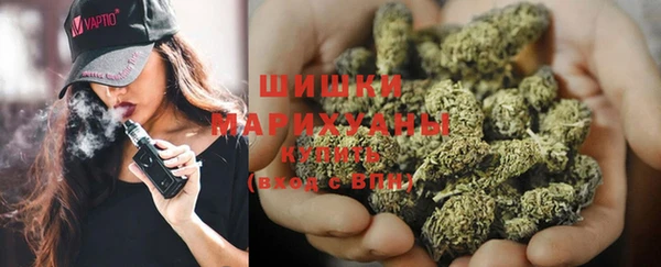 гидра Белоозёрский