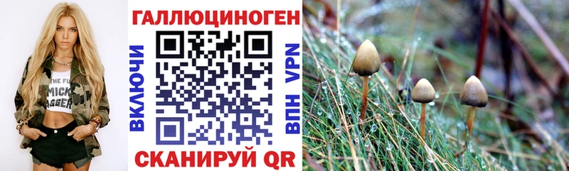 Псилоцибиновые грибы GOLDEN TEACHER  наркотики  hydra ТОР  Ачхой-Мартан 