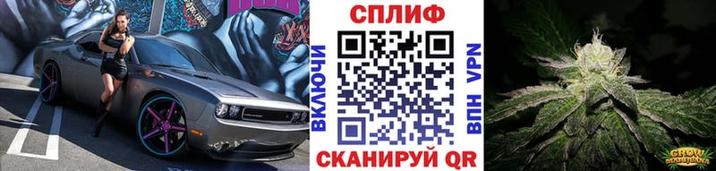 Бошки марихуана OG Kush  Ачхой-Мартан 